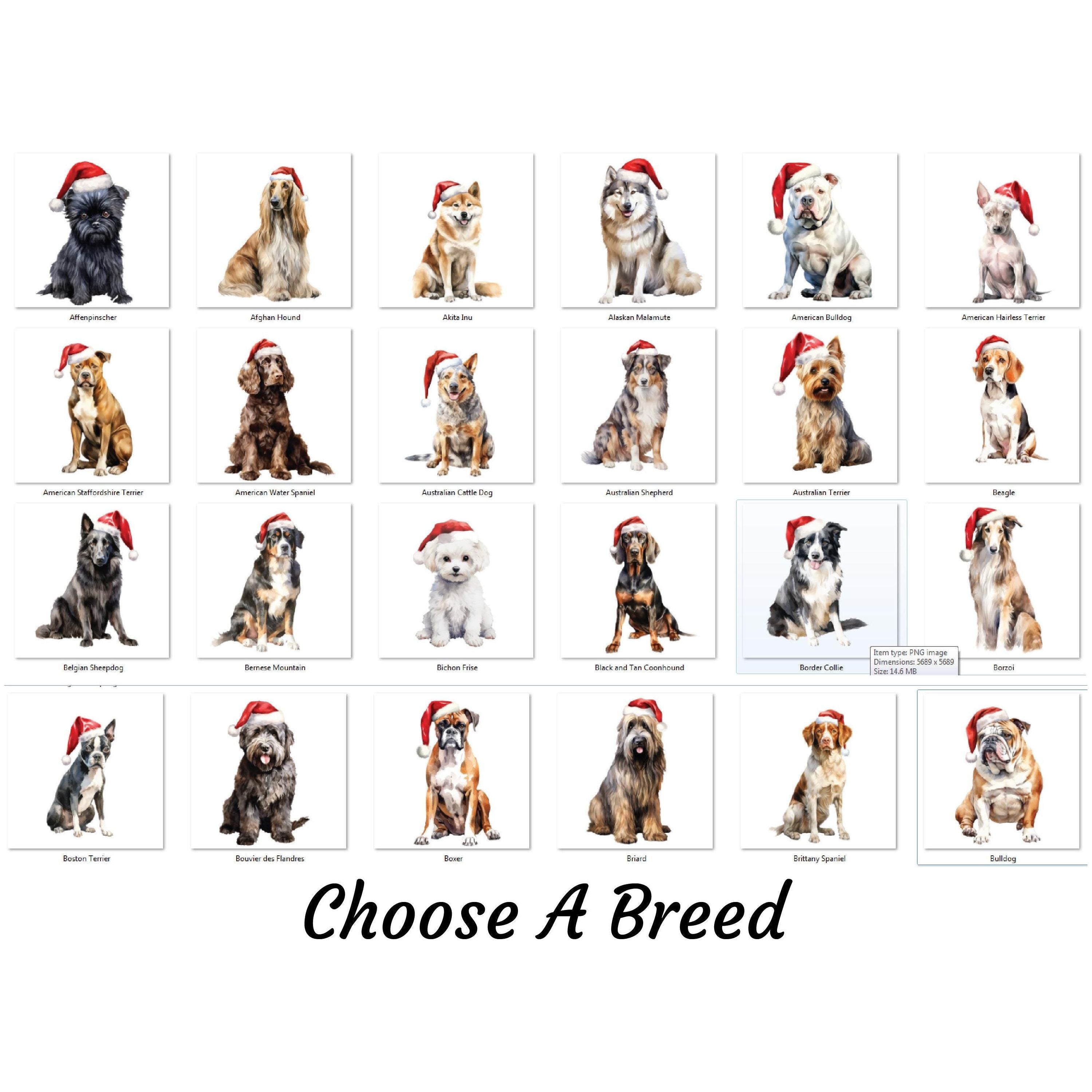 Personalised Christmas Dog Wall Art - 29.5cm Custom Pet Name Sign | Santa Hat Dog Breed Decor | Christmas Gifts for Dog Lovers, Home Decor